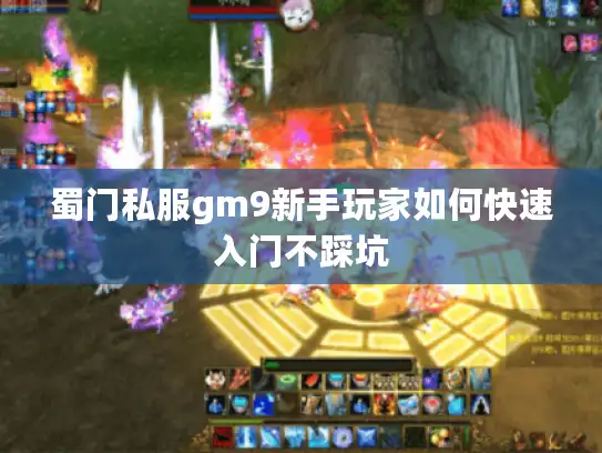 蜀门私服gm9新手玩家如何快速入门不踩坑