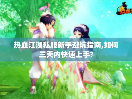 热血江湖私服新手避坑指南,如何三天内快速上手?