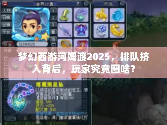 梦幻西游河姆渡2025，排队挤入背后，玩家究竟图啥？