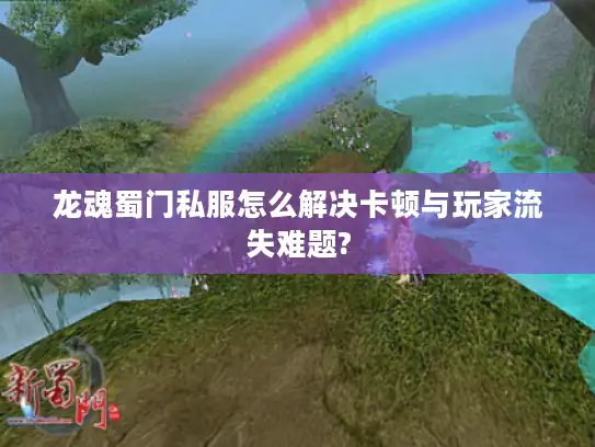 龙魂蜀门私服怎么解决卡顿与玩家流失难题? 龙魂蜀门私服怎么解决卡顿与玩家流失难题?