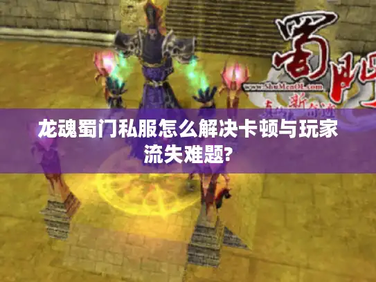 龙魂蜀门私服怎么解决卡顿与玩家流失难题? 龙魂蜀门私服怎么解决卡顿与玩家流失难题?