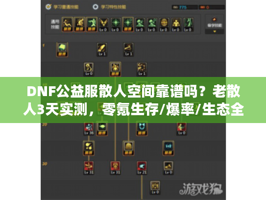 DNF公益服散人空间靠谱吗？老散人3天实测，零氪生存/爆率/生态全揭秘