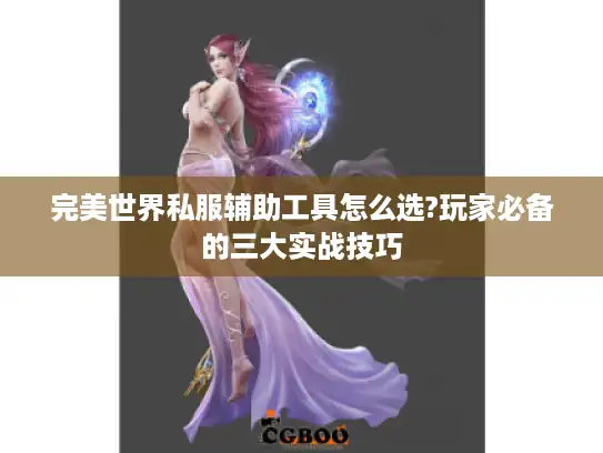 完美世界私服辅助工具怎么选?玩家必备的三大实战技巧