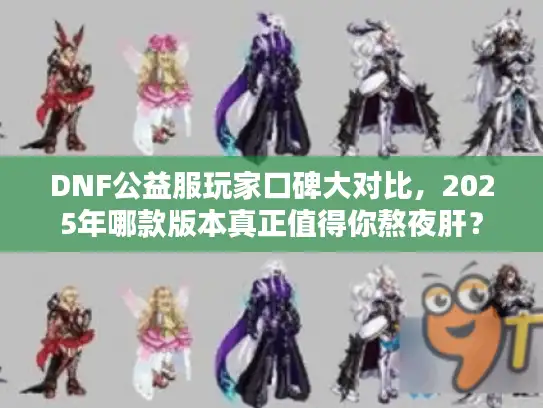 DNF公益服玩家口碑大对比，2025年哪款版本真正值得你熬夜肝？