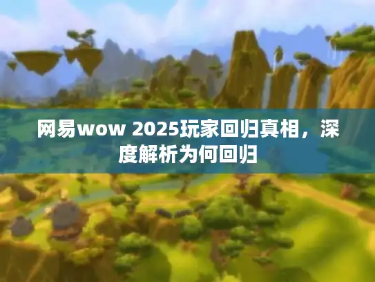 网易wow 2025玩家回归真相，深度解析为何回归