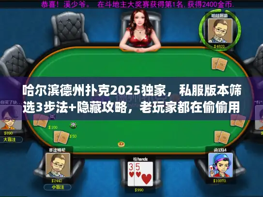 哈尔滨德州扑克2025独家，私服版本筛选3步法+隐藏攻略，老玩家都在偷偷用