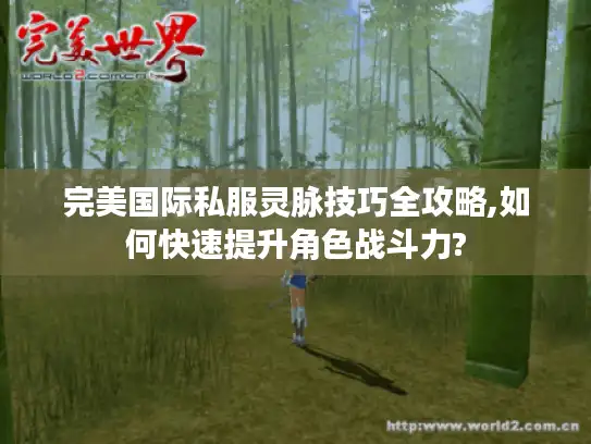 完美国际私服灵脉技巧全攻略,如何快速提升角色战斗力?