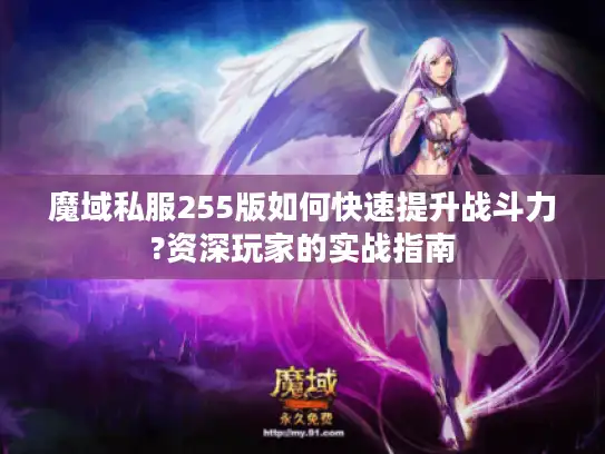 魔域私服255版如何快速提升战斗力?资深玩家的实战指南