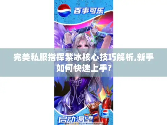 完美私服指挥紫冰核心技巧解析,新手如何快速上手?