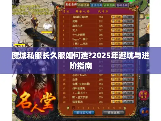 魔域私服长久服如何选?2025年避坑与进阶指南