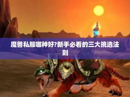 魔兽私服哪种好?新手必看的三大挑选法则 魔兽私服哪种好?新手必看的三大挑选法则