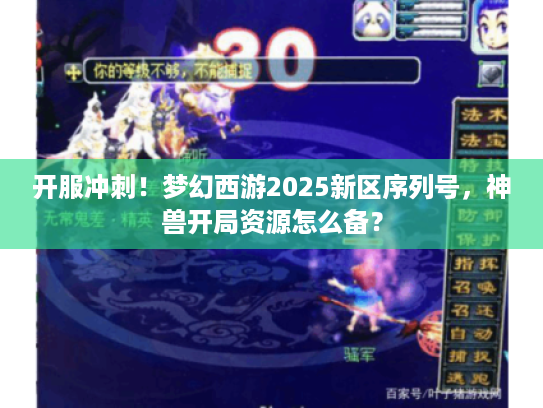 开服冲刺！梦幻西游2025新区序列号，神兽开局资源怎么备？