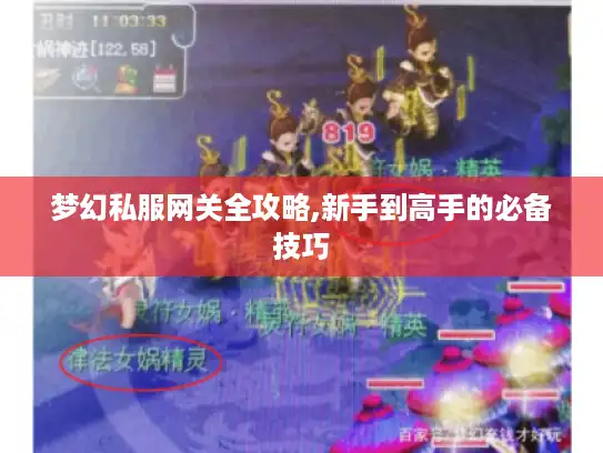 梦幻私服网关全攻略,新手到高手的必备技巧
