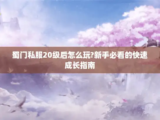 蜀门私服20级后怎么玩?新手必看的快速成长指南