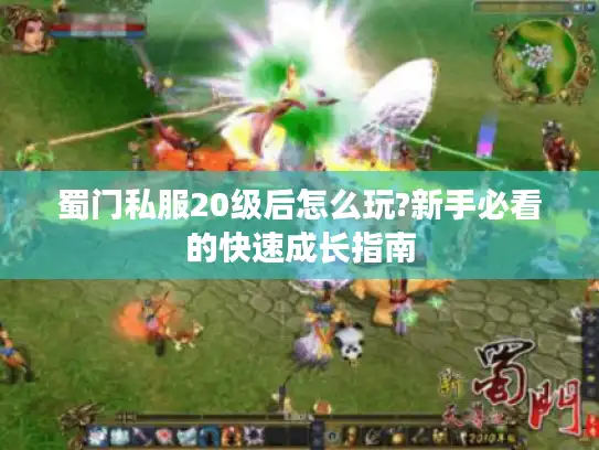 蜀门私服20级后怎么玩?新手必看的快速成长指南