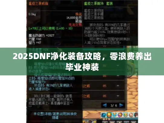 2025DNF净化装备攻略，零浪费养出毕业神装