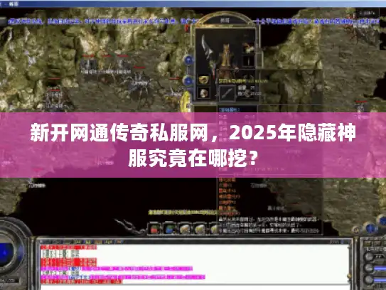 新开网通传奇私服网，2025年隐藏神服究竟在哪挖？