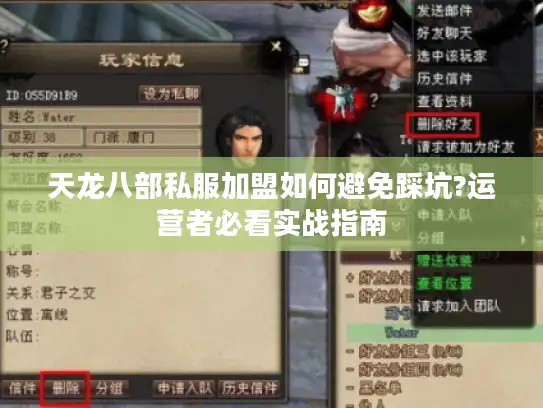 天龙八部私服加盟如何避免踩坑?运营者必看实战指南