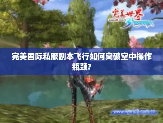 完美国际私服副本飞行如何突破空中操作瓶颈?
