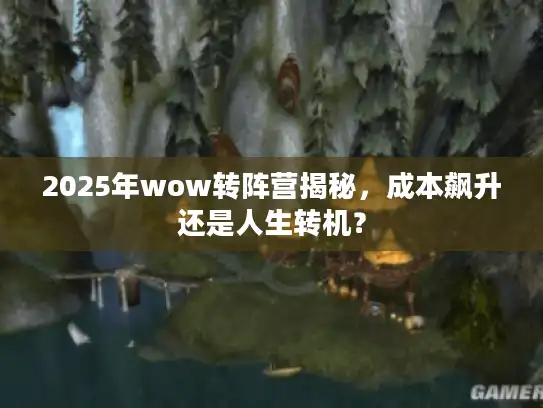 2025年wow转阵营揭秘，成本飙升还是人生转机？