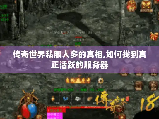 传奇世界私服人多的真相,如何找到真正活跃的服务器