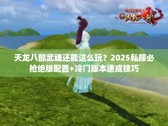 天龙八部武魂还能这么玩？2025私服必抢绝版配置+冷门版本速成技巧