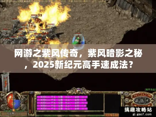 网游之紫风传奇，紫风暗影之秘，2025新纪元高手速成法？