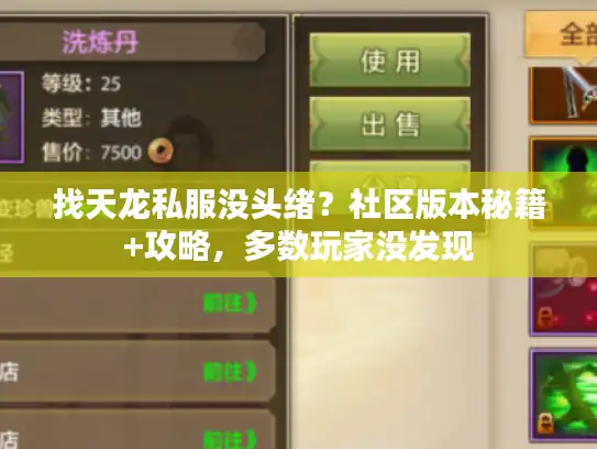 找天龙私服没头绪？社区版本秘籍+攻略，多数玩家没发现