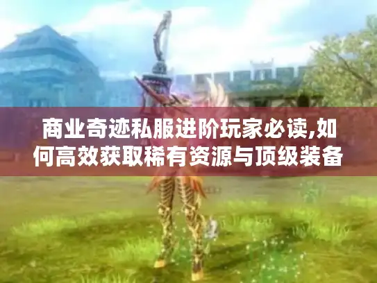 商业奇迹私服进阶玩家必读,如何高效获取稀有资源与顶级装备?