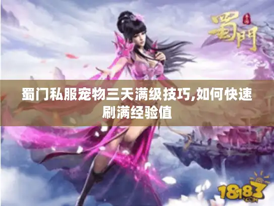 蜀门私服宠物三天满级技巧,如何快速刷满经验值