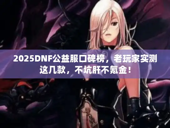 2025DNF公益服口碑榜，老玩家实测这几款，不坑肝不氪金！