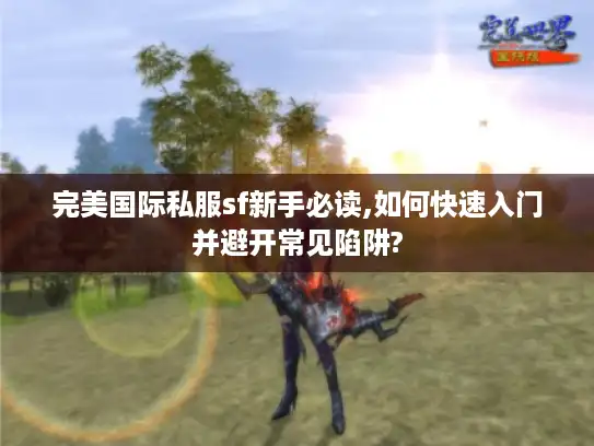完美国际私服sf新手必读,如何快速入门并避开常见陷阱?