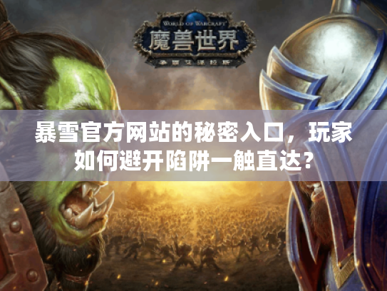 暴雪官方网站的秘密入口，玩家如何避开陷阱一触直达？