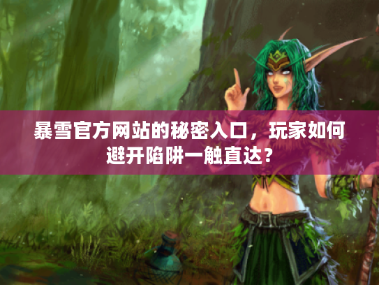 暴雪官方网站的秘密入口，玩家如何避开陷阱一触直达？