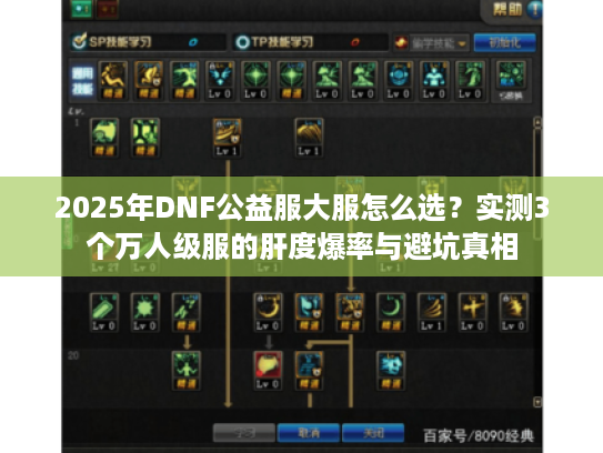 2025年DNF公益服大服怎么选?实测3个万人级服的肝度爆率与避坑真相 2025年DNF公益服大服怎么选?实测3个万人级服的肝度爆率与避坑真相