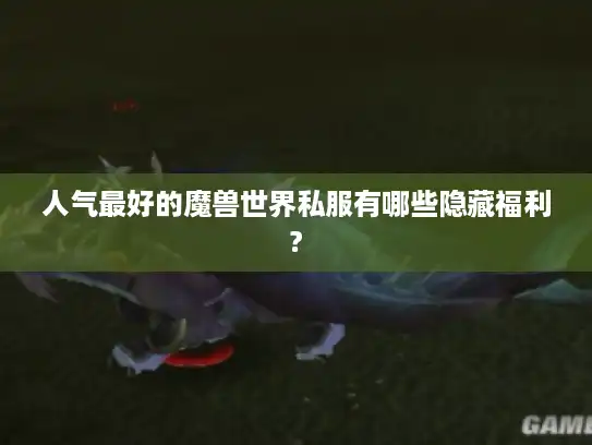 人气最好的魔兽世界私服有哪些隐藏福利?