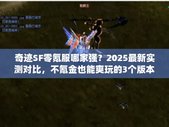 奇迹SF零氪服哪家强?2025最新实测对比,不氪金也能爽玩的3个版本深度解析 奇迹SF零氪服哪家强?2025最新实测对比,不氪金也能爽玩的3个版本深度解析