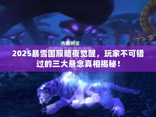 2025暴雪国服暗夜觉醒，玩家不可错过的三大悬念真相揭秘！