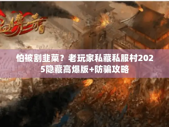 怕被割韭菜？老玩家私藏私服村2025隐藏高爆版+防骗攻略