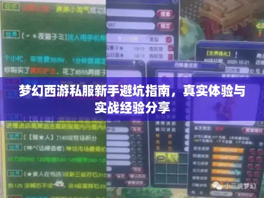 梦幻西游私服新手避坑指南，真实体验与实战经验分享