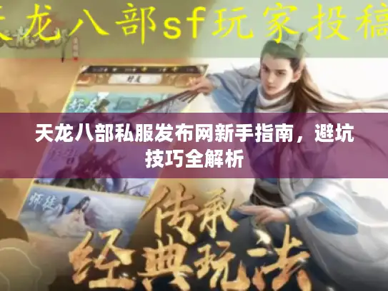 天龙八部私服发布网新手指南，避坑技巧全解析
