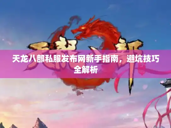 天龙八部私服发布网新手指南，避坑技巧全解析