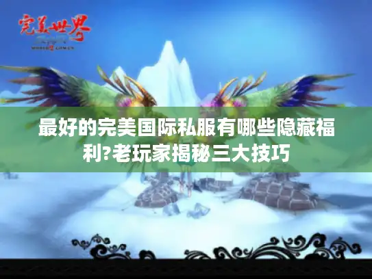 最好的完美国际私服有哪些隐藏福利?老玩家揭秘三大技巧