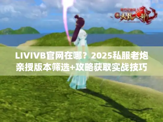 LIVIVB官网在哪?2025私服老炮亲授版本筛选+攻略获取实战技巧 LIVIVB官网在哪?2025私服老炮亲授版本筛选+攻略获取实战技巧