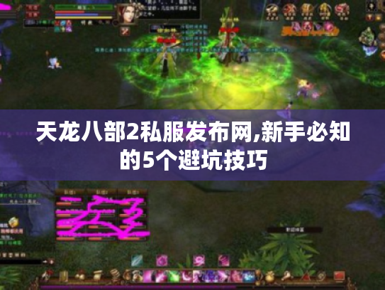 天龙八部2私服发布网,新手必知的5个避坑技巧
