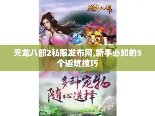 天龙八部2私服发布网,新手必知的5个避坑技巧