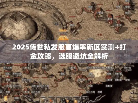 2025传世私发服高爆率新区实测+打金攻略，选服避坑全解析