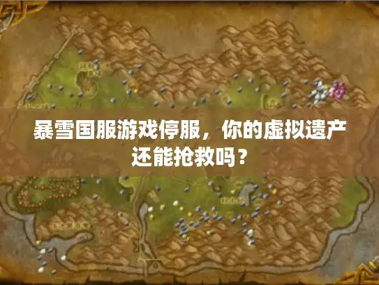 暴雪国服游戏停服,你的虚拟遗产还能抢救吗? 暴雪国服游戏停服,你的虚拟遗产还能抢救吗?