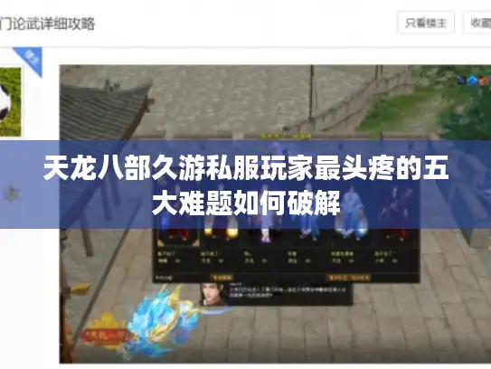 天龙八部久游私服玩家最头疼的五大难题如何破解 天龙八部久游私服玩家最头疼的五大难题如何破解