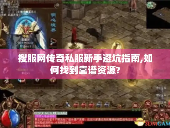 搜服网传奇私服新手避坑指南,如何找到靠谱资源?